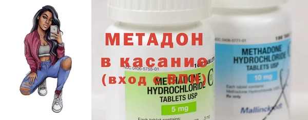 сатива Аркадак